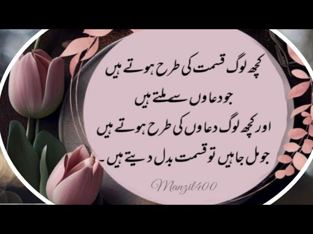 Amazing Quotes Collection Of Urdu Hindi