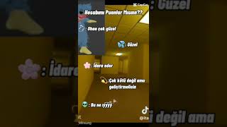 Hesabımı puanlar mısın