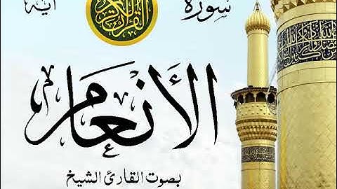 سورة الأنعام مع إظهار آيات القراءة - تلاوة القارئ الشيخ أحمد نعينع . صدى