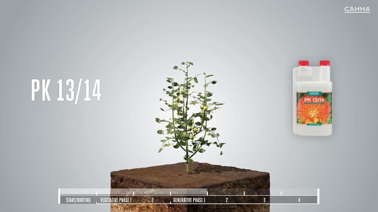 (España) CANNA PK 13/14