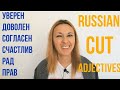 Cut adjectives: УВЕРЕН, СОГЛАСЕН, РАД, ДОВОЛЕН