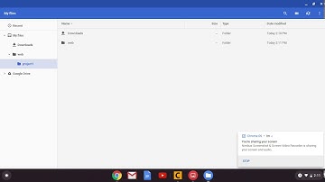 Setting up your chrome book for web development