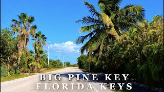 Big Pine Key Florida Keys Island Drive  Big Pine Key, FL  Relaxing Scenic 4K Island Driving Tour
