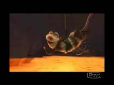 Sarigueñas - YouTube