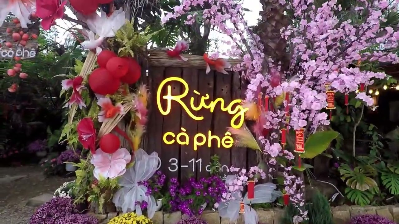 Rừng Cà Phê Da Nang: The Ultimate Tropical Oasis Hidden Gem (2026)