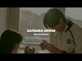 Sansara Sihine | සංසාර සිහිනේ (slowed + reverb)