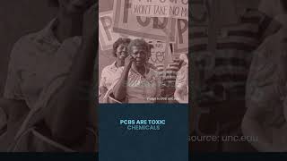 Part 3 A brief history of Black activism and the Environmental Justice Movement - Earth Month Series