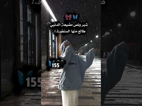 شقد طولكم شبر ونص مضيعة الدنيي طالع منها السنفورة 