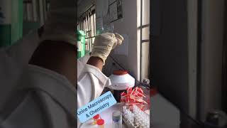 Urine Test at the Lab ,,, #shorts #science #Laboratory