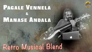 Retro Musical Blend-2 Phani Veena Pagale Vennela Manase Andaala Veena Instrumental