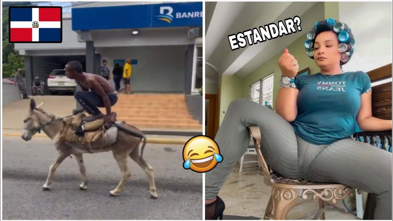 Los Mejores Videos de Risa Dominicanos / Solo en rd #24 - YouTube