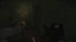 Escape From Tarkov: Fuck Gun clipping