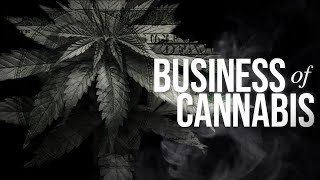 A High Price to Pay: The Business of Cannabis | PARAGRAPHIC by PARAGRAPHIC 24,561 views 1 year ago 44 minutes