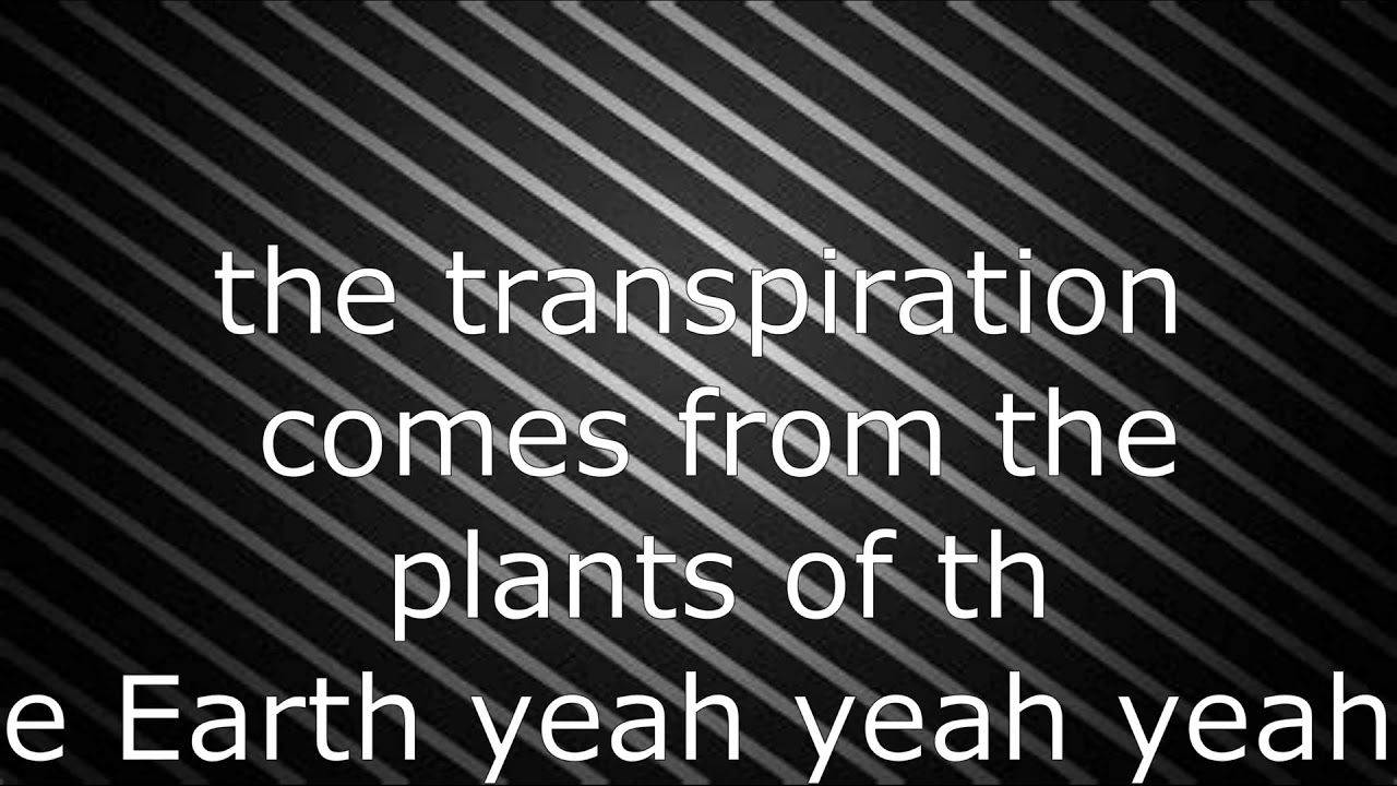 water cycle rap YouTube