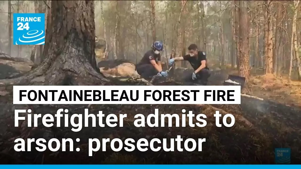 Volunteer firefighter admits to starting a fire in the Fontainebleau forest • FRANCE 24 English
