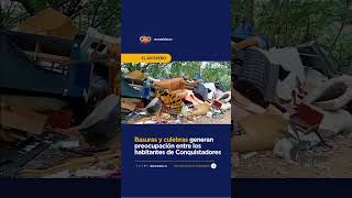 Habitantes de Conquistadores denuncian basuras acumuladas y aparición de culebras | Oro Noticias