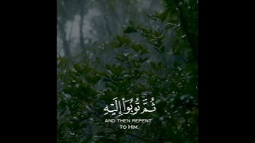 اجمل حالات واتس اب قرأن كريم بصوت القارئ رعد الكردي🌻