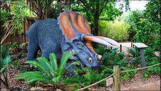 Houston  Zoo (2) Dinosaurs & Bugs