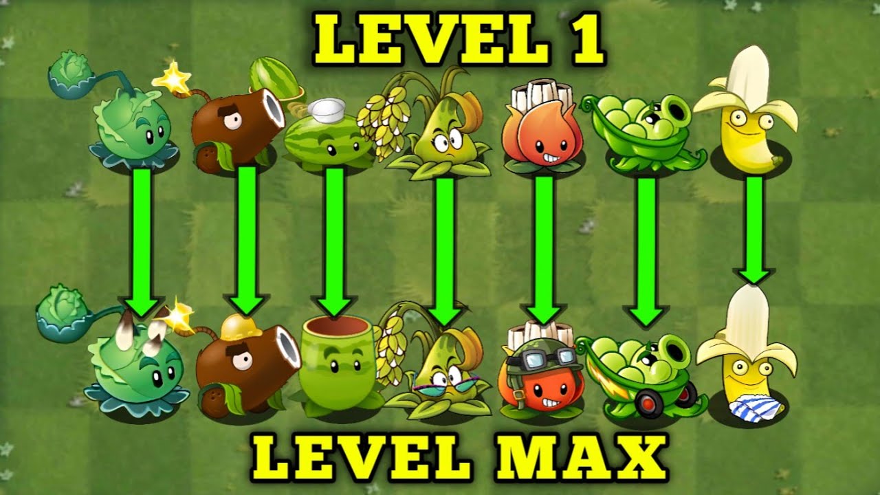 Pvz2 Level. Order Team Launch Level 1 VS Max Level || Which Plant Will Win || PVZ2 - YouTube