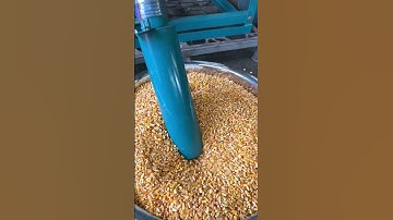 High Efficiency Pulverizing, Handles 2000-2500kg per Hour with Ease.#pulverizer #machinery #farmer