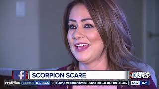 Las Vegas Girl Rushed To Er After Scorpion Sting