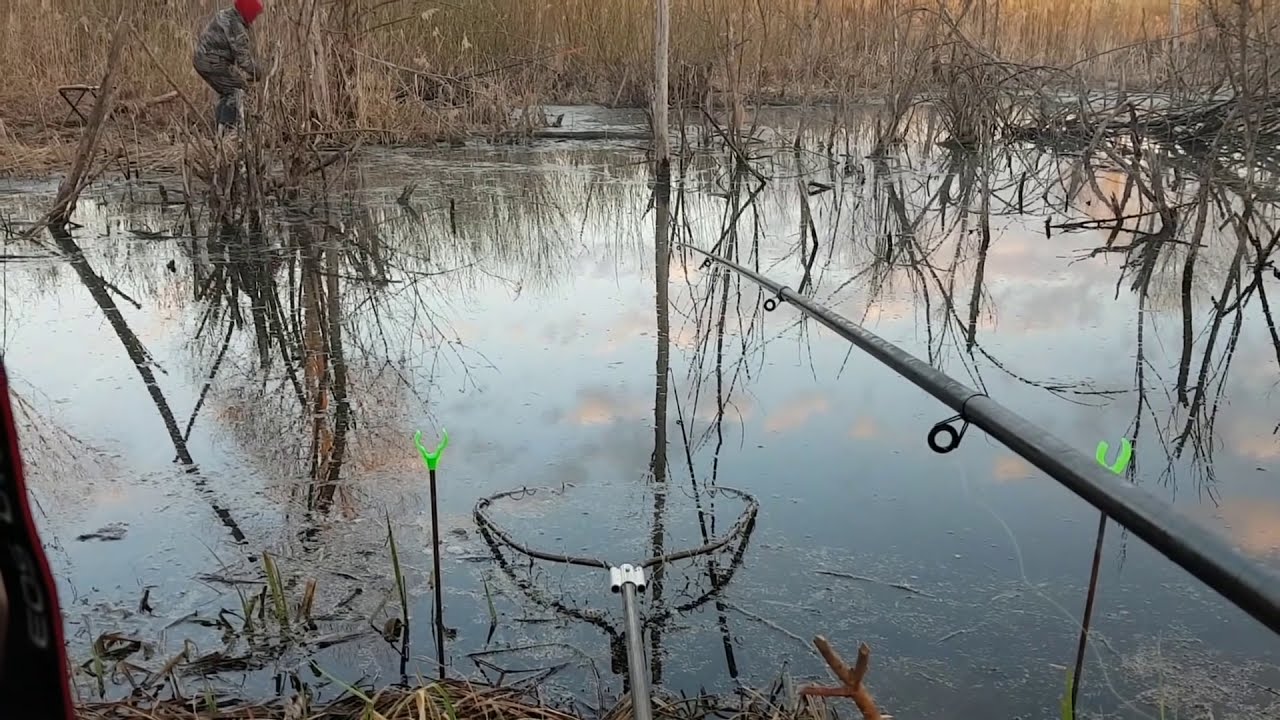 Ловля на удочку весной видео. Рыбалка на карася весной на удочку с кивком. На что ловить карпа в мае в пруду на поплавочную удочку. Почему не клюёт карась в мае на пруду.