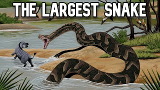 This Newly Discovered Snake Was Larger Than Titanoboa