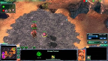 SC2 Bring the Basics: The Birds and the Swarm (Zerg) P2