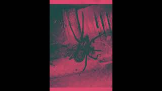 Ruby Lustre - Amends