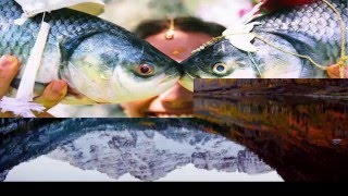 En Etkileyici 20 Fotoğraf 3.