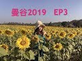 曼谷2019 EP 3 小義大利Palio, 太陽花農場
