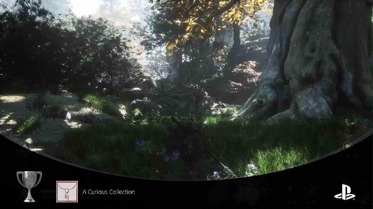 Black Myth: Wukong A Curious Collection Trophy