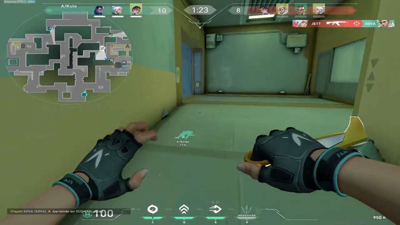 sonsuzum, denizim, gökyüzüm...