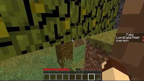 Find the button plus!