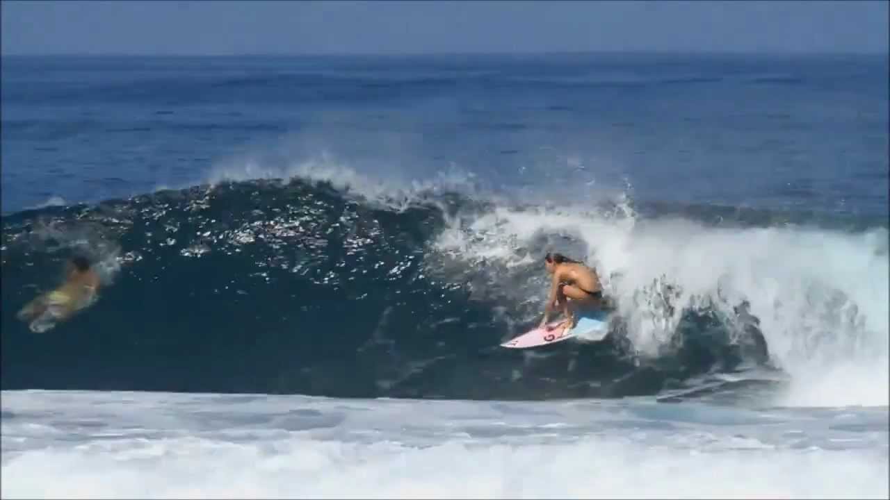 Majestics - Junglesoul