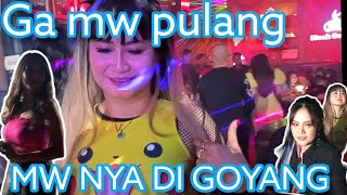 VELLINE CHU GA MW PULANG MW NYA DI GOYANG⁉️DJ SEXY KUMPUL DISINI‼️