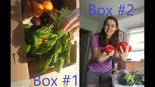 Hungry Harvest Double Unboxing AugSept 2020 // Get $10 off your first box!