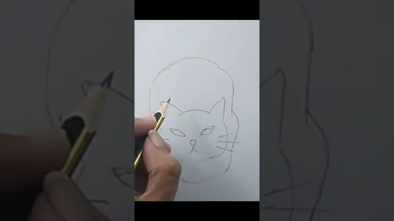 how to draw a cat | daily art 