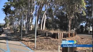 Cal Poly Frat Suspended