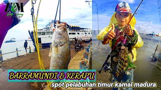 BARRAMUNDI spot pelabuhan timur kamal madura