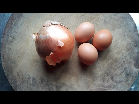 Telur Dadar Bawang Meaning In English