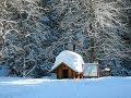 В поисках "загнивающего" французского горнолыжного курорта.