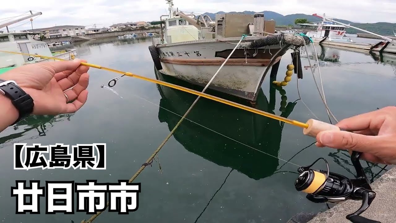 【広島釣り】噂のダイソーレンジャーを使って根魚狙いのデイゲーム🎣