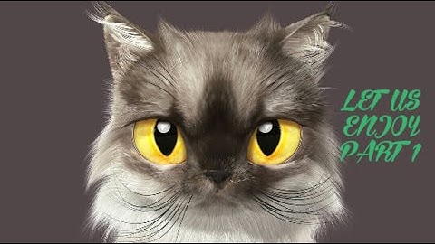 CLASS 3 S St lesson 8 let us enjoy part 1