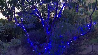 Guirlande lumineuse LED extérieure 17m, 240 LED bleues et blanc flash vidéo