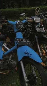 solidaritas tanpa batas cb gl C70 astrea #shorts
