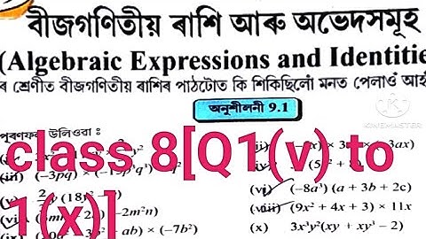 class 8 math chapter 9.1/Algebraic expression and identities
