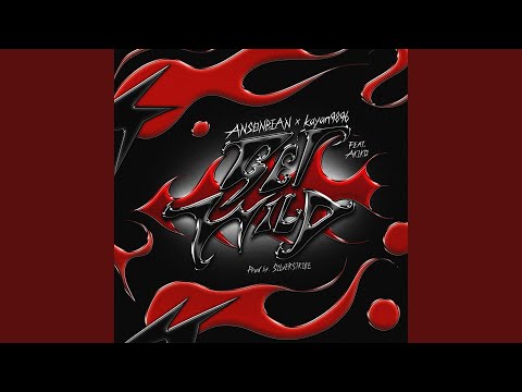 GET WILD (feat. AKIKO)