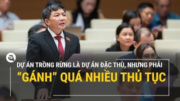 Dự án trồng rừng là dự án đặc thù, nhưng phải "gánh" quá nhiều thủ tục