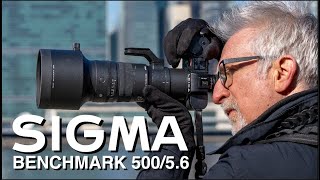 Sigma 500mm f/5.6 DG DN: New BENCHMARK in Super Telephotos!